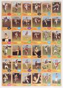 1972-76 Scanlens football cards stuck to contact to show reverse pictures, with 1972 [66]; 1973 Series A [72]; 1973 Series B [72]; 1976 [132]. - 2