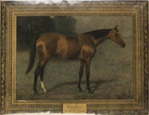CARBINE, print "Carbine, Portrait presented by The Duke of Portland to the Victoria Racing Club - 1896", in metal frame, with handstamp on reverse "Durable Mount Co, Sth.Melbourne, overall 40x31cm.