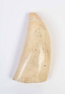 A large scrimshaw whale's tooth, 19th century