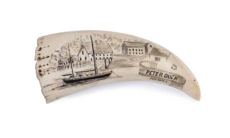 A scrimshaw whale's tooth with harbor scene titled "Peter Duck Pin Mill", circa 1935