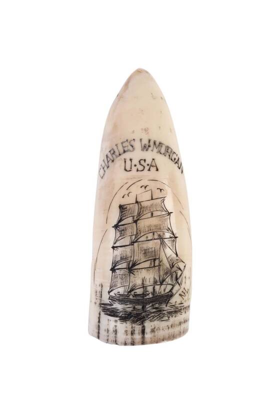 A scrimshaw whale's tooth with tall ship engraved "Charles W. Morgan USA"