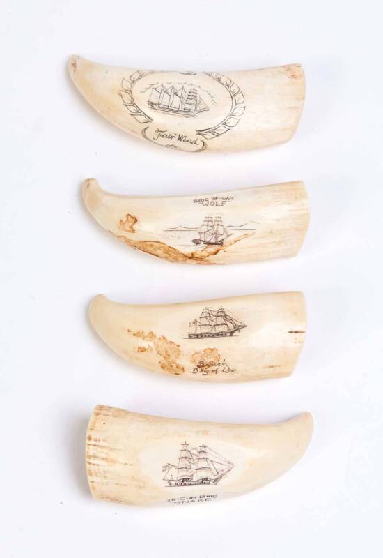 A group of four scrimshaw whale's teeth with ship portraits