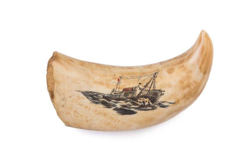 A scrimshaw whale's tooth with boating scene and inscription (illegible)