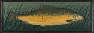 A mounted model trout, hand painted, 20th century