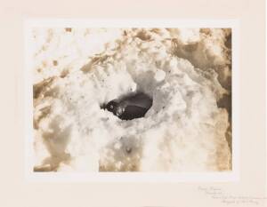 HERBERT GEORGE PONTING (1870-1935): "Sitting Penguin Snowed Up", with photographer's blindstamp "H.G. Ponting" in lower margin and further endorsed "Captain Scott's British Antarctic Expedition 1913", carbon print, 31x41cm. Mounted on board with The Fine 