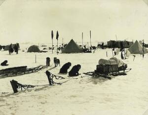 FRANK HURLEY (1885-1962): "Ocean Camp, with two dogs looking at camera" [Shackleton expedition, 15 December 1915], silver gelatin photograph, 19x15cm. Presented by Hurley to Archdeacon John Bidwell.