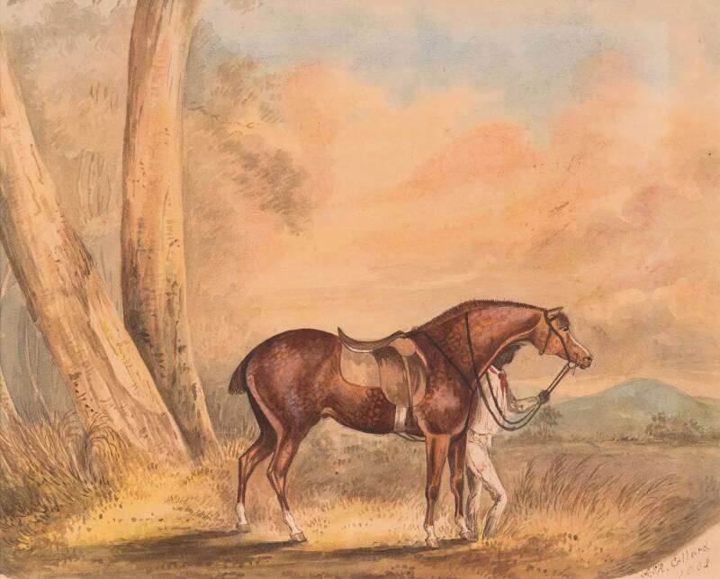 COLLARD, Anna Sarah Rachel (nee Wauch) [1824-1904]  (A young horse with Aboriginal strapper) Watercolour on paper, signed and dated "A.S.R.Collard 1863" at lower right; 20 x 25cm PROVENANCE: Removed from the Eliott Family scrapbook which had originally be