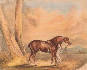 COLLARD, Anna Sarah Rachel (nee Wauch) [1824-1904]  (A young horse with Aboriginal strapper) Watercolour on paper, signed and dated "A.S.R.Collard 1863" at lower right; 20 x 25cm PROVENANCE: Removed from the Eliott Family scrapbook which had originally be