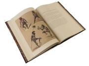 "South Australia Illustrated" by George French Angas, facsimile edition 263/1000 [Sydney, 1967], superb condition - 3