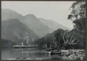 A pair of New Zealand scene albumen prints