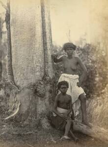 CHARLES BAYLISS - PHOTOGRAPHER [1850-1897]A small group of albumen prints including "Aborigines of New South Wales", "Native Australians", "Govett's Leap" and one other. (4 images).