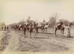 KERRY & Co. SYDNEY: A group of (6) albumen images including "Camel Trains, Wanarring Road, Warrego District", "Buyers inspecting sheep", "Wool sorting, Thurulgoona Station", an untitled busy market day scene & 2others. All laid down on card.