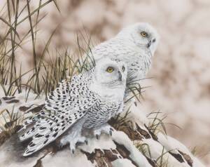 PAUL MARGOCSY (Born 1945) Snow Owls