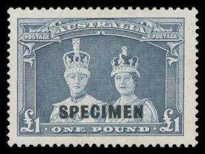 Pre-Decimals: 1938-49 Robes Thick Paper Â£1 dull blue with 'SPECIMEN' Overprint BW #216x, very lightly mounted, Cat $750. Ex Neil Russell. RPSofV Certificate (2017).