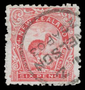 New Zealand: 1902-07 Pictorials with Watermark Perf 11 6d rose-red Kiwi with the Watermark Upright SG 312ab (CP #E14f), unusually well centred with characteristic irregular perfs, 'NZ/NELSON/22AP03' cds, Cat Â£2000 ($NZ5500 VFU).