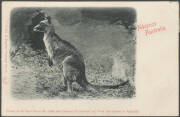 Australia: 1901 'Links of Empire' Series for the Royal Visit by the Duke & Duchess of York to Open the First Federal Parliament in Melbourne on 9th May 1901 comprising No 6 (Kangaroo), 7 ('Parliament House, Adelaide'), 8 ('Sydney Harbour') & 9 ('Brisbane' - 3