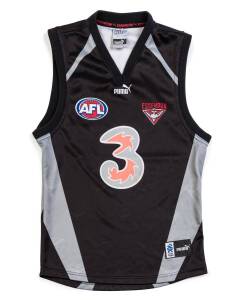 JAMES HIRD'S ESSENDON TRAINING JUMPER, short sleeves, with "3" logo, and number "5", c2003-07.