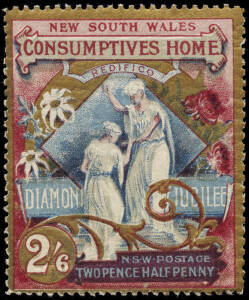 Group on 30 annotated pages incl. NSW with 1897 1d (1/-) x2 & 2½d (2/6) Consumptive Homes pair**/*, Good Samaritan group, Crippled Children seals plus labels for 4 different hospitals; Adelaide Childrens Hospital with 8 singles, 2 blocks & 5 sheetlets; Vi