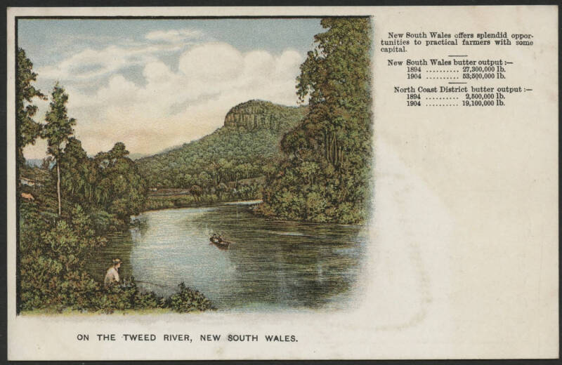 NSW: Government Tourist Bureau postcard with sepia view of ‘Sydney Harbour’ on address side and colour view of ‘On The Tweed River’ with Fisherman & ‘Butter Output’ figures on face, unused, couple of very minor blemishes.
