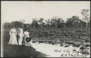 Northern Territory: Katherine: ‘Red Lily Lagoon, Katherine’ real photo postcard (‘Kodak Austral’ back) showing Man & Women in Victorian Dress standing on edge of lagoon, unused, couple of minor blemishes.