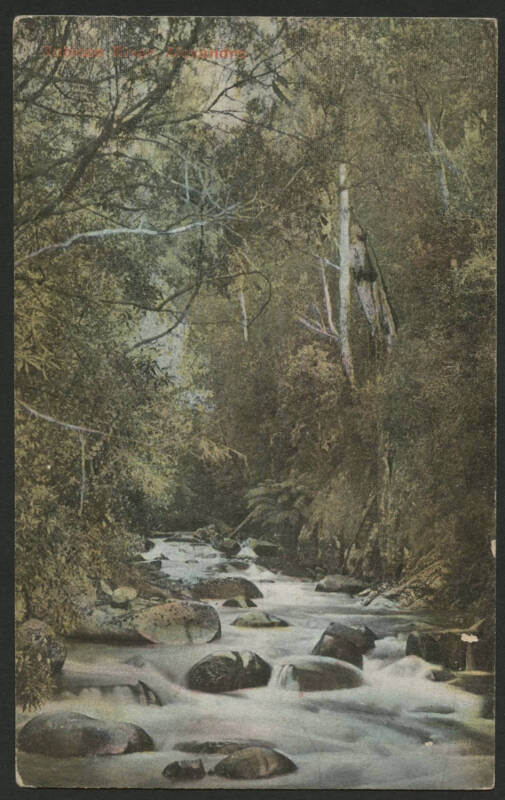 Victorian Railways Tourist Series ‘Rubicon River, Alexandra’ postcard with pre-printed advice headed ‘Claims Agent Office, Spencer-street Station’ acknowledging receipt of letter re "shock received by you in consequence of accident at Sunshine" and QV 1d