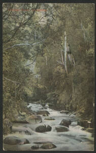 Victorian Railways Tourist Series ‘Rubicon River, Alexandra’ postcard with pre-printed advice headed ‘Claims Agent Office, Spencer-street Station’ acknowledging receipt of letter re "shock received by you in consequence of accident at Sunshine" and QV 1d 