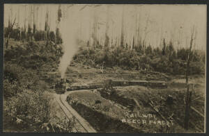 Victoria: Beech Forest: ‘Railway Beech Forest’ real photo postcard (published by Ernest Bugg, Photographer, Colac) showing Steam Locomotive and Train with Passenger & Goods Carriages rounding bend in forest, unused, fine condition.