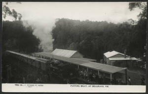 Victoria: Belgrave: ‘Puffing Billy at Belgrave’ real photo postcard (Rose series P14703) showing NA Class Steam Locomotive and Passenger Carriages at the Station Platform, unused, fine condition.