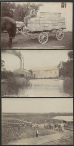 Victoria: Irymple: three real photo postcards (Gorman photo) showing aspects of Fruit Production comprising ‘Fruit Drying at Irymple’ showing Sultanas spread out on trays drying in the sun with Workers & Shedding, ‘Phyche Pumping Station’ showing Pumphous