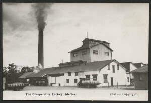Victoria: Maffra: ‘The Co-operative Factory, Maffra’ real photo postcard (Bulmer photo) showing the Factory Buildings, Chimney belching smoke and Delivery Trucks carrying Milk Cans parked outside, unused, fine condition.