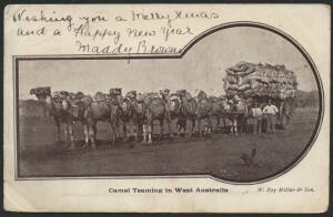 West Aust: ‘Camel Teaming in Western Australia’ postcard (published by W. Roy Millar & Son) showing Team of eight Camels & Cart piled high with Wheat Bags, sent to England with Victoria QV 1d pink tied Melbourne ‘25NOV06’ cancel, a few minor blemishes.