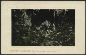 West Aust: Margaret River: 'Entrance to Mammoth Cave, Margaret River' postcard (published by P. Falk & Co) with Tourist Group standing outside, used with stamp neatly removed, couple of minor blemishes.