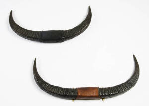 Two pairs of wall mounting double buffalo horns