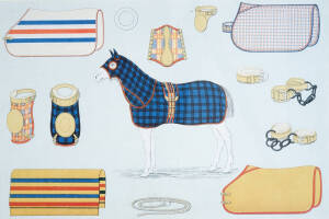 Two coloured prints of horse fittings and grooming equipment