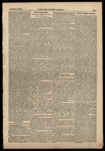 THE KELLY GANG in "THE AUSTRALIAN TOWN AND COUNTRY JOURNAL" July to November 1880:The extensive coverage of everything to do with the pursuit, the gang, the fight, the deaths, the trials and the hanging, featured on the following pages of the T&C:July 3rd