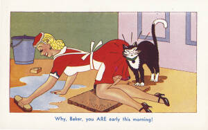 COMIC POSTCARDS: c1950 postcards issued by Green's Souvenirs Katoomba NSW, 15 different x 5 packs. VG condition.