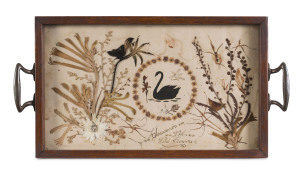 A serving tray "Souvenir Of W.A. Wild Flowers", late 19th century