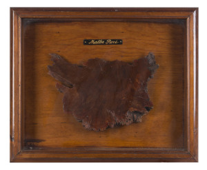 Mallee Root framed Exhibition specimen sample, late 19th century