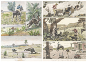 Collection of 60 engravings, book plates and supplements, some hand coloured, mostly Australian themes, 19th century