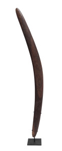 A boomerang club, South West Queensland, late 19th century