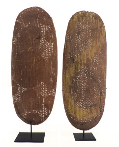 A ceremonial shield and coolamon, Central Desert, early 20th century