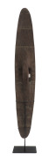A bardi shield, North Western Australia, early 20th century - 2