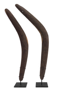 Two boomerangs, Western Australia, circa 1900