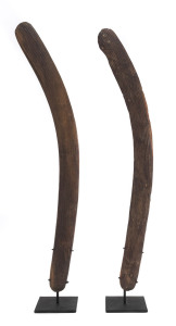 Two boomerangs, Central Desert, 19th century