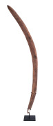 An incised boomerang club, Flinders Ranges region, South Australia, late 19th century