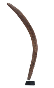 A boomerang, Flinders Ranges region, South Australia, circa 1900