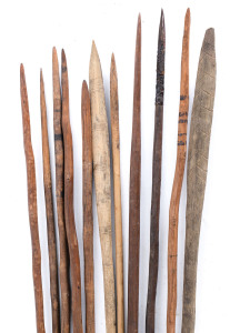 Eleven spears, Central Australia, early 20th century