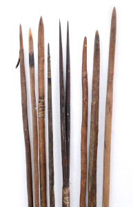 Nine spears, Central Australia, early 20th century