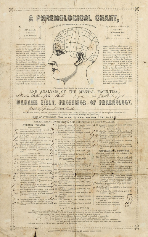 "A PHRENOLOGICAL CHART", circa 1871 printed by Edward Turner Printers And Stationers, 26 Hunter Street, Sydney framed and glazed