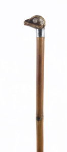 A walking stick with bird's skull handle with glass eyes, 19th century